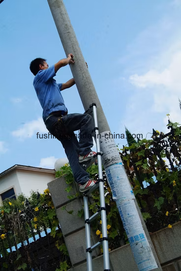 Escalera telescópica de un solo lado de aluminio compatible con EN de 13 escalones