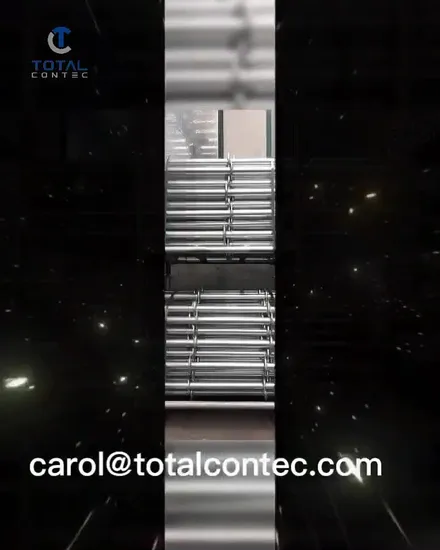 Andamio de sistema galvanizado Escalera de andamio recta